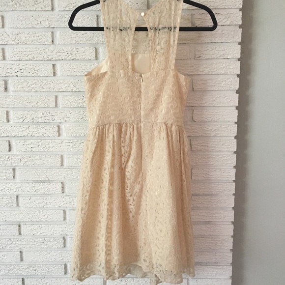 The Limited Lace Fit & Flare Dress - Picture 3 of 4